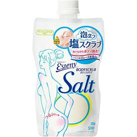 【送料無料・まとめ買い×10】常盤薬品　サナ　エステニー　ボディスクラブ Salt 350g×10点セット ( 4964596429774 )