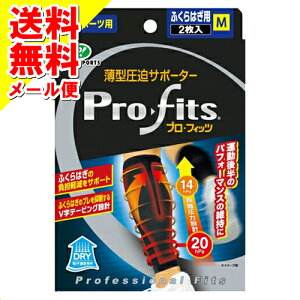 y[֑zsbv ^ T|[^[ vEtBbc ӂ͂p M