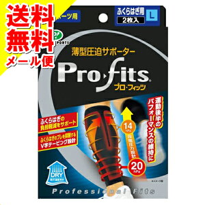 y[֑zsbv ^ T|[^[ vEtBbc ӂ͂p L