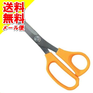 y[֑zY SK11 Ntgƒp͂ KS-205(1R) 1