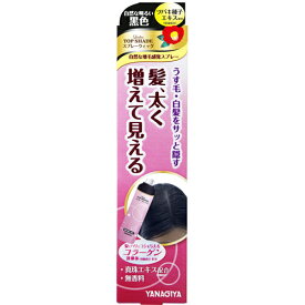 柳屋本店　レディーストップシェードスプレーウィッグ ( 自然な明るい黒色 ) 100G 香りの残らない無香料【2014年春の新製品】 ( 4903018133646 )