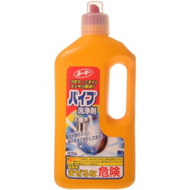 第一石鹸　ルーキー パイプ洗浄剤 800g　アルカリ性 ( 台所・浴室・洗面所の排水パイプ用クリーナー ) ( 4902050473000 )