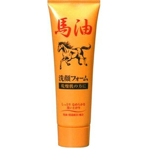 yE܂Ƃߔ×9_ZbgzWERXeBbN@n@tH[N 120G ( 4964653102206 )