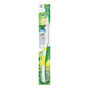 y2020~ |bLzf^v tbVnuV MJbg ӂ×24Zbg