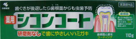 【送料込・まとめ買い×2点セット】小林製薬　薬用 シコンコート 110g（歯周病ハミガキ）医薬部外品（4987072005378）