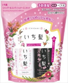 楽天市場 トラベル シャンプー いち髪の通販
