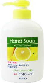 【送料込・まとめ買い×9点セット】第一石鹸 薬用 ハンドソープ 本体 250ML 医薬部外品　( 4902050556239 )