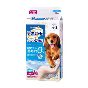 jE`[ fIV[g 蒴z L^Cv Ch 36