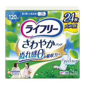 yP12NZ[z jE`[ Ct[ ₩pbh 120cc łSp 24 29cm ( ACɂȂ ) ( 4903111559978 )