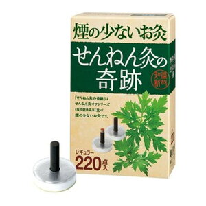 Zlt@ ˂񋄂̊ ̏Ȃ M[ 220_