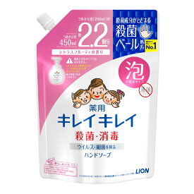 【送料無料・まとめ買い×10】ライオン　キレイキレイ 薬用泡ハンドソープ つめかえ用 大型サイズ 450ml×10点セット　まとめ買い！　手に残りにくいシトラスフルーティの香り ( 4903301176862 )