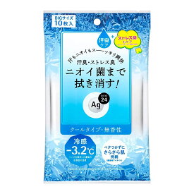 【令和・早い者勝ちセール】ファイントゥデイ エージーデオ24 Agデオ24 クリアシャワー シート BIGサイズ クール 10枚入