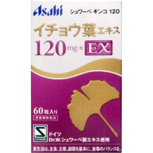 シュワーベギンコ イチョウ葉エキスの人気商品・通販・価格比較 - 価格.com