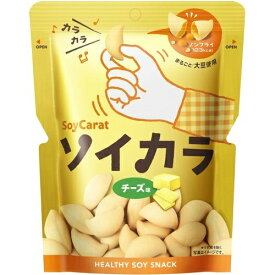 大塚製薬 ソイカラ チーズ味 27g
