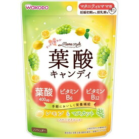 【送料無料・まとめ買い×10】和光堂 ママスタイル 葉酸 キャンディ 78g