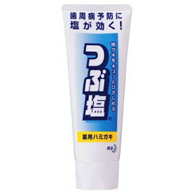 花王 つぶ塩薬用ハミガキ スタンディングチューブ 180g