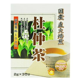 【送料無料・まとめ買い×10】ユニマットリケン 杜仲茶 2g×30袋入