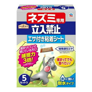 A[X A[XK[f lY~p֎~ GTtSV[g 5Zbg