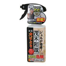 レック 茂木和哉 C00404 カビとり ジェルスプレー 320ml お風呂用