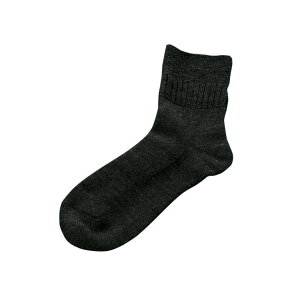 pVtBbNTvC ӂ\bNX L  24-26cm