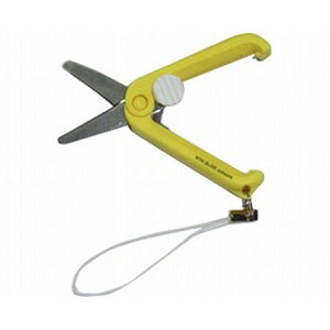 yE܂Ƃߔ×10ZbgzEJC ~j͂ UC-440H CG[