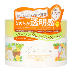 yE܂Ƃߔ×10Zbgz[bg ݂o[ KX[uCgCX`[ NWOo[ XpCV[t[c̍ 90g