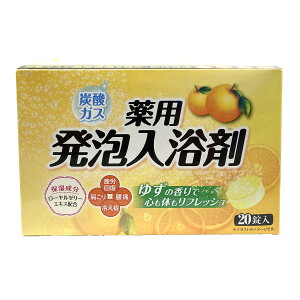 CIP~J A p  䂸̍ 40g×20 򕔊Oi