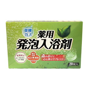 CIP~J A p  X̍ 40g×20 򕔊Oi