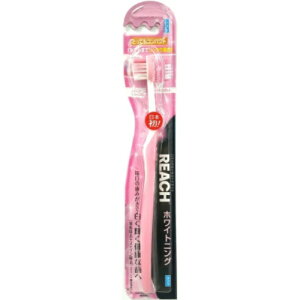 y2020~ |bLz[` zCgjO ƂĂRpNg ӂ uV×6Zbg