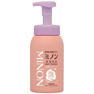 【送料込・まとめ買い×2個セット】第一三共 ミノン 全身シャンプー 泡タイプ 500mL