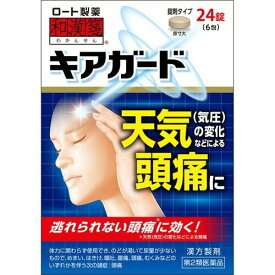 【第2類医薬品】ロート製薬 和漢箋 わかんせん キアガード 24錠入