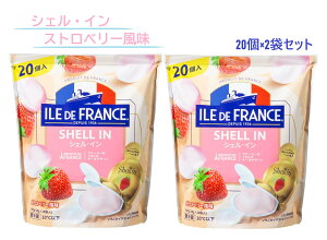 y①ցzy2܃ZbgzVFC `[Y(Xgx[) 400g(20g×20)×2܃Zbg ILE DE FRANCE RXgR lC e  ܂ fU[g a nEB NX}X p[eB[ 