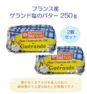 【2個セット】【冷蔵便】【人気商品】フランス産 ゲランド塩バター 250g×2個 有塩バター ブルターニュ地…