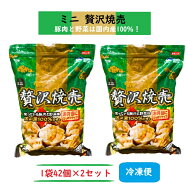 【クール冷凍便】【2袋セット】ホソヤ HOSOYA 冷凍 ミニ 贅沢焼売 しゅうまい シュウマイ 42個入×2袋 冷…