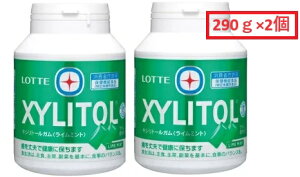 y2Zbgzbe LVg[ C~g K 290g×2Zbg VK[X {Ȉt̐Ei  N  }`g[ XYLITOL Gum RXgR@3,980~ȏwő