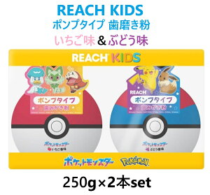 y2Zbgz[` LbY |PbgX^[ |v^Cv݂ 250g×2  Ԃǂ |P  n~KL qp REACH KIDS Pokemon  E RXgR a NX}