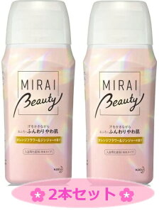 y2{Zbgzԉ ou MIRAI beauty oX\g IWt[&WW[̍ 500g 10×2{ pϗ ێ C  NX}X a v[g Mtg ̓ ̓ 3,980
