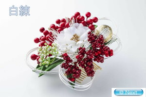 g˃t[AWZbg t[R[   RT[W l wAANZT[ l q   a a 񂴂 䂩  Nbv Ǝ  ꒅ 4250