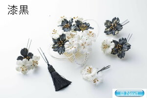 EAWZbg t[R[   RT[W l wAANZT[ l q   a a 񂴂 䂩  Nbv Ǝ  ꒅ 4258