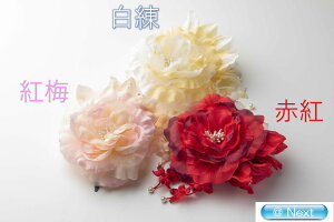 䂩Nbv   RT[W l wAANZT[ l q   a a 񂴂 䂩  Nbv Ǝ  ꒅ 2013TK-104