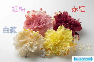 䂩Nbv   RT[W l wAANZT[ l q   a a 񂴂 䂩  Nbv Ǝ  ꒅ 2016TK-120