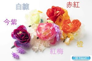 䂩Nbv   RT[W l wAANZT[ l q   a a 񂴂 䂩  Nbv Ǝ  ꒅ 2017TK-82