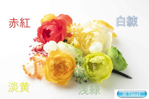䂩Nbv   RT[W l wAANZT[ l q   a a 񂴂 䂩  Nbv Ǝ  ꒅ 2017TK-104