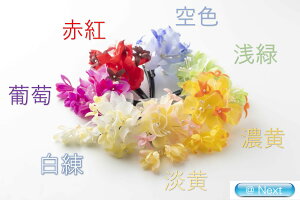 䂩Nbv   RT[W l wAANZT[ l q   a a 񂴂 䂩  Nbv Ǝ  ꒅ 2018TK-55