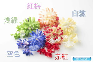 䂩Nbv   RT[W l wAANZT[ l q   a a 񂴂 䂩  Nbv Ǝ  ꒅ 2018TK-46