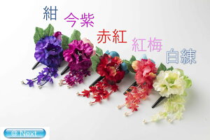 䂩Nbv   RT[W l wAANZT[ l q   a a 񂴂 䂩  Nbv Ǝ  ꒅ 2017TK-32