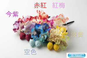 䂩Nbv   RT[W l wAANZT[ l q   a a 񂴂 䂩  Nbv Ǝ  ꒅ 2018TK-73