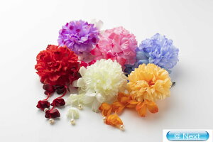 䂩Nbv   RT[W l wAANZT[ l q   a a 񂴂 䂩  Nbv Ǝ  ꒅ 2014TK-54