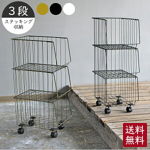 [  ] X^bLOS 3D ʏ h[ Tj^[ ^I G V  [ ܎[ bN 3i I }KWbN  Vv C[bN  LX^[t