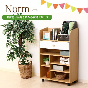 [  ] S̐ޒmƋ hZbN {I  [ [bN ǂ rObN Xg[WbN LX^[t LbY @\ VFt 62cm Еt